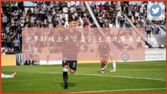 世界杯线上平台盘点 主流观赛渠道一览