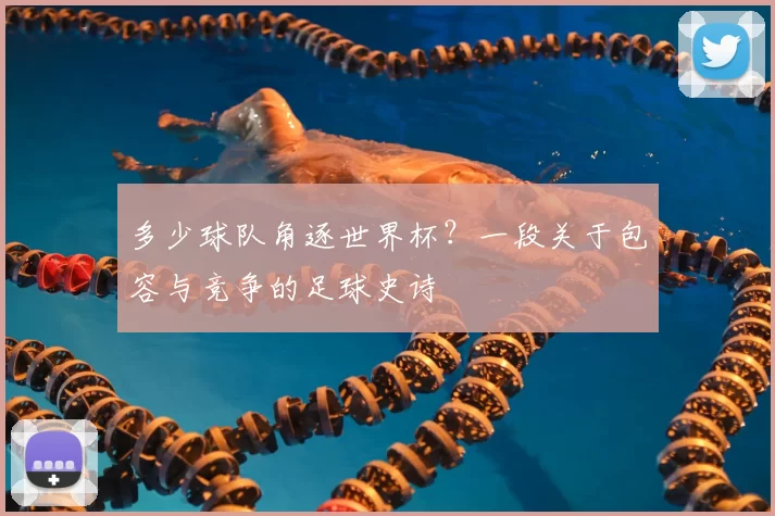 多少球队角逐世界杯？一段关于包容与竞争的足球史诗