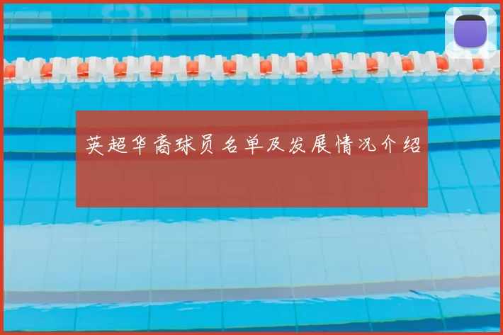 英超华裔球员名单及发展情况介绍