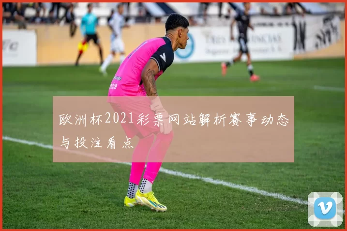 欧洲杯2021彩票网站解析赛事动态与投注看点