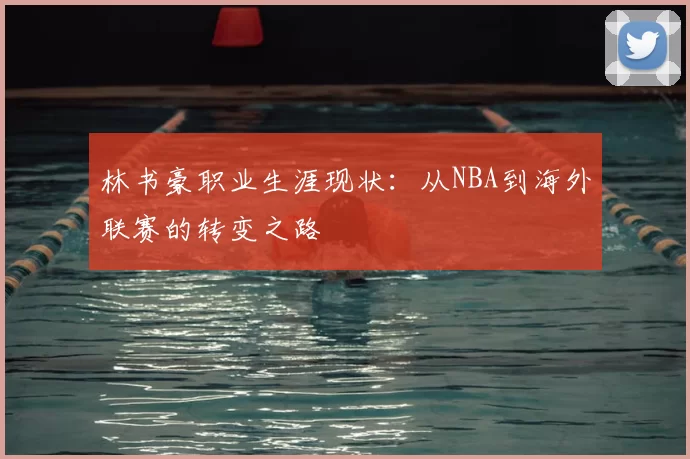 林书豪职业生涯现状:从NBA到海外联赛的转变之路