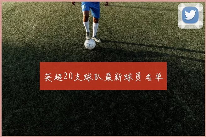英超20支球队最新球员名单