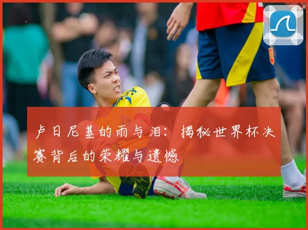 卢日尼基的雨与泪：揭秘世界杯决赛背后的荣耀与遗憾