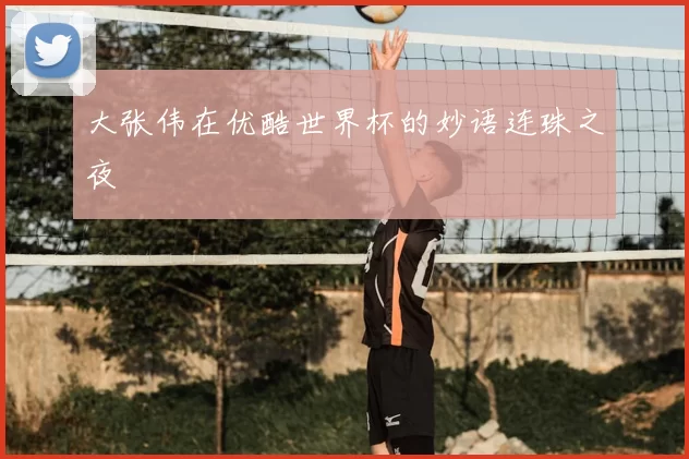 大张伟在优酷世界杯的妙语连珠之夜