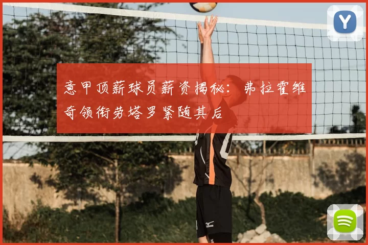 意甲顶薪球员薪资揭秘:弗拉霍维奇领衔劳塔罗紧随其后