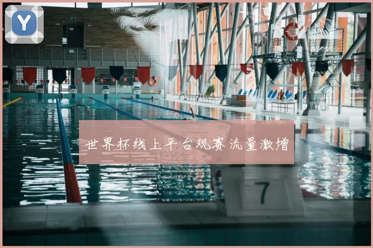世界杯线上平台观赛流量激增