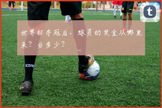 世界杯夺冠后,球员的奖金从哪里来?分多少?