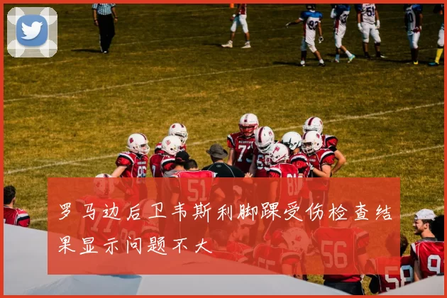 罗马边后卫韦斯利脚踝受伤检查结果显示问题不大