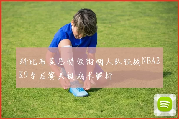 科比布莱恩特领衔湖人队征战NBA2K9季后赛关键战术解析