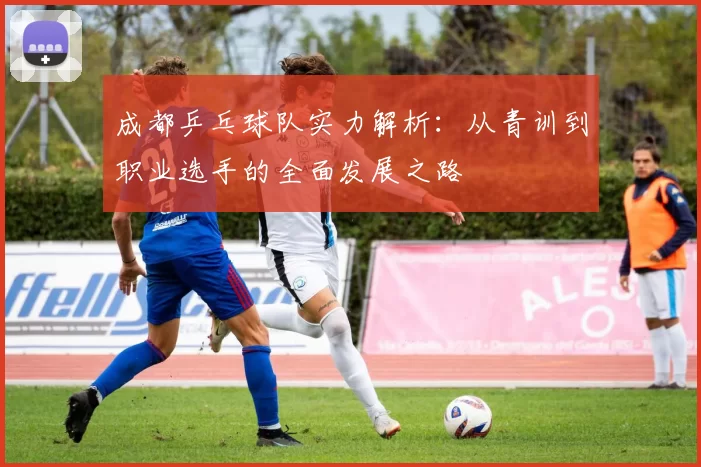 成都乒乓球队实力解析：从青训到职业选手的全面发展之路