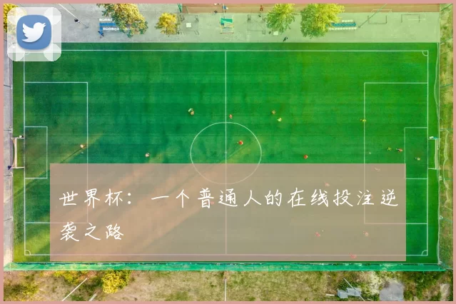 世界杯：一个普通人的在线投注逆袭之路