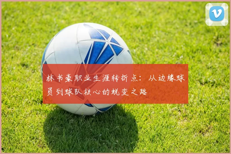 林书豪职业生涯转折点:从边缘球员到球队核心的蜕变之路
