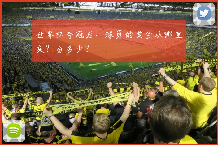 世界杯夺冠后,球员的奖金从哪里来?分多少?