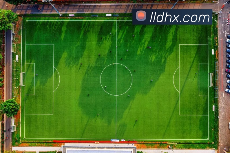 买球官网发展历程